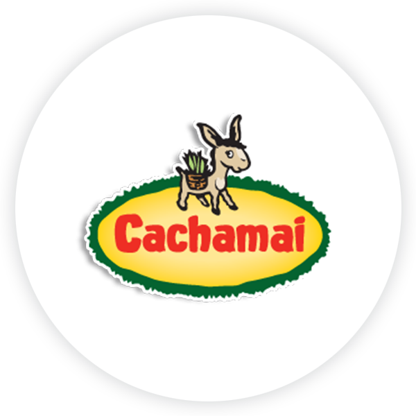 cliente-cachamai